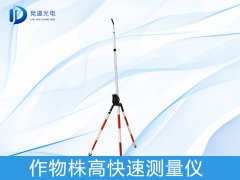 �������������ʲô����������������